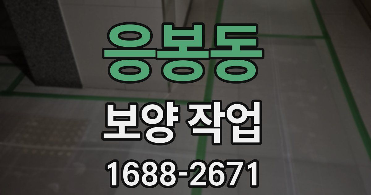 응봉동 보양 작업