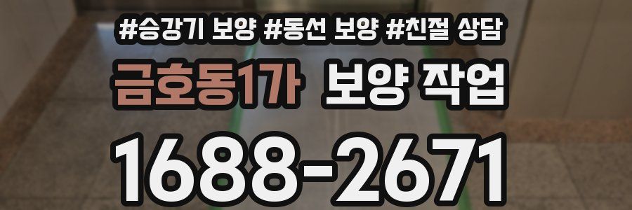 금호동1가 보양 작업