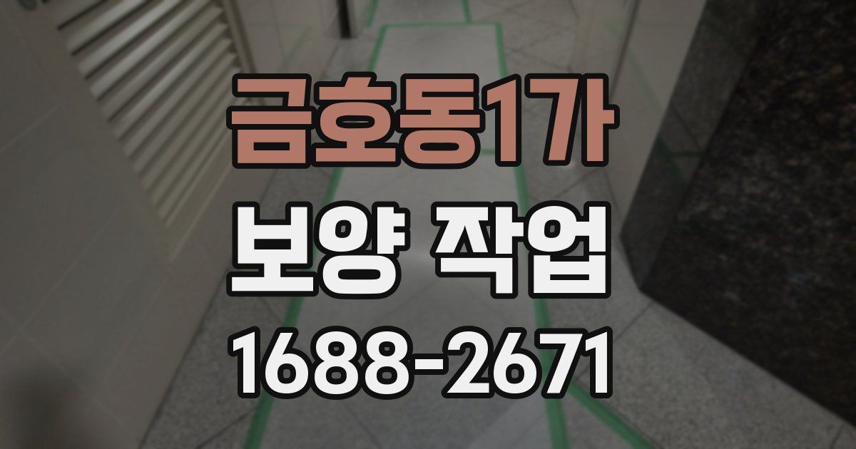 금호동1가 보양 작업