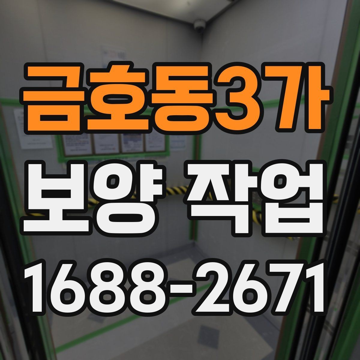 금호동3가 보양 작업 종류별 선택 기준 알아보기