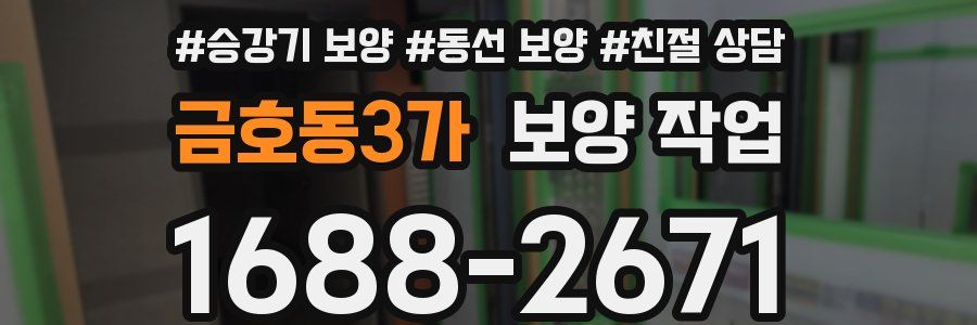 금호동3가 보양 작업