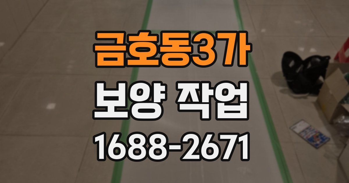 금호동3가 보양 작업