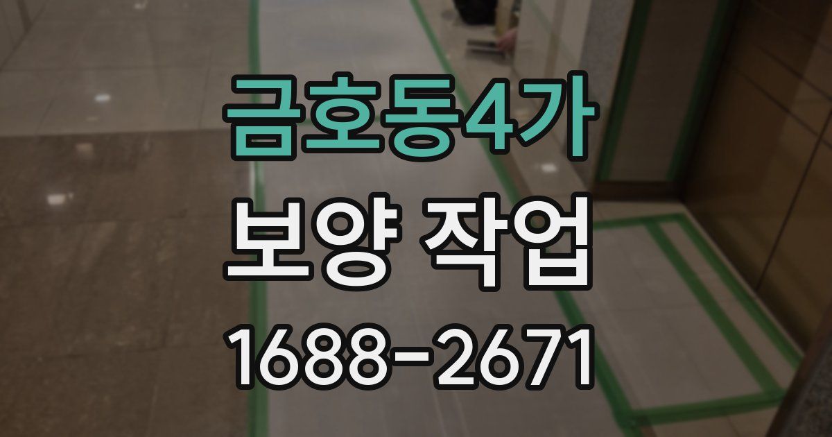 금호동4가 보양 작업