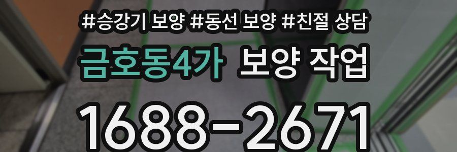 금호동4가 보양 작업