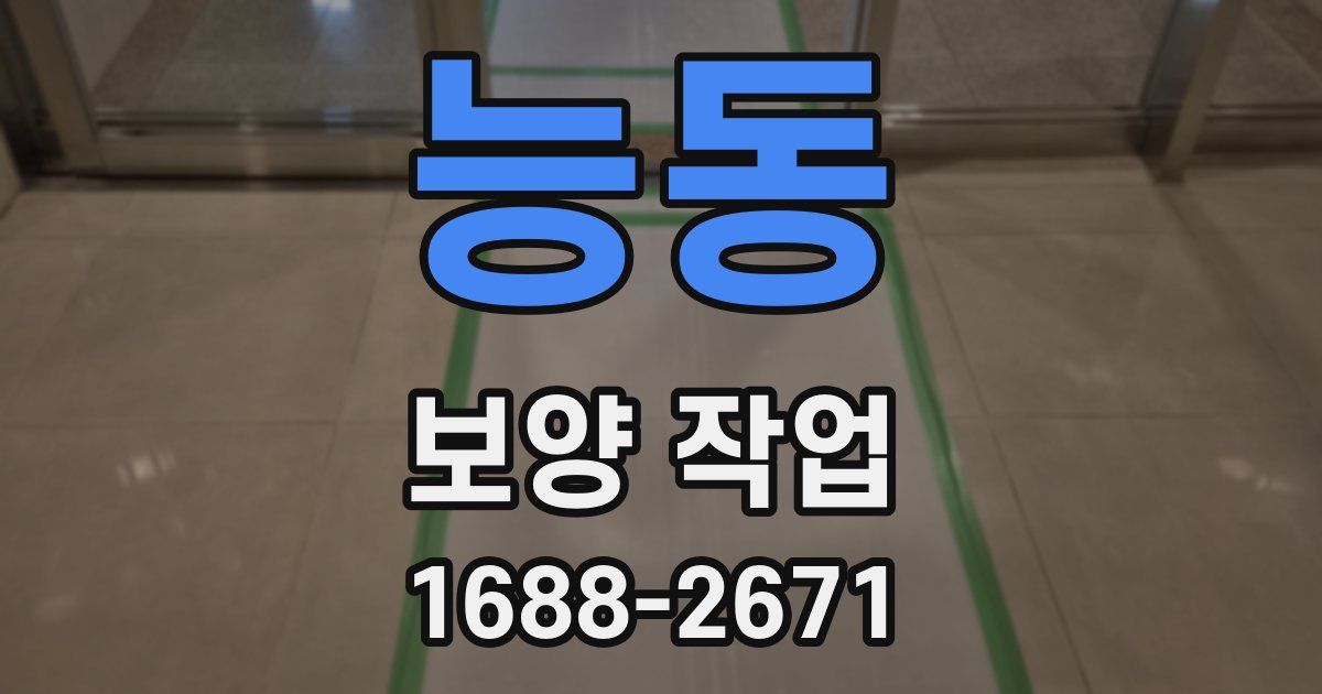 능동 보양 작업