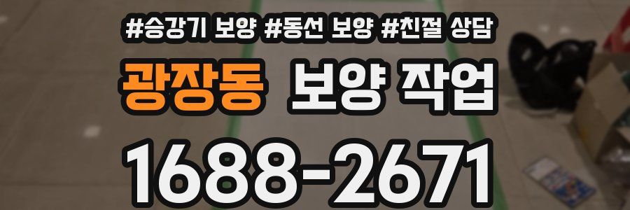 광장동 보양 작업