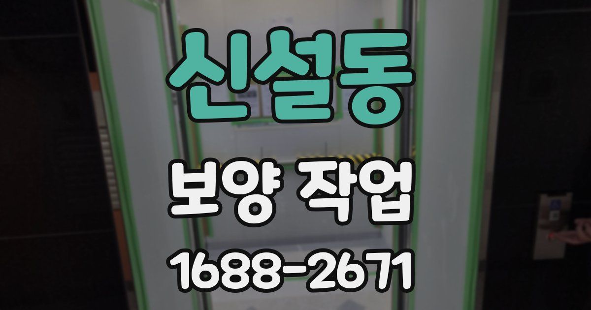 신설동 보양 작업