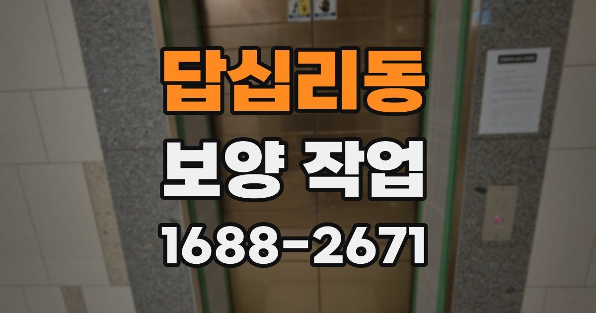 답십리동 보양 작업