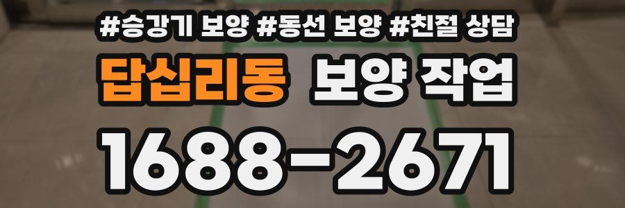 답십리동 보양 작업