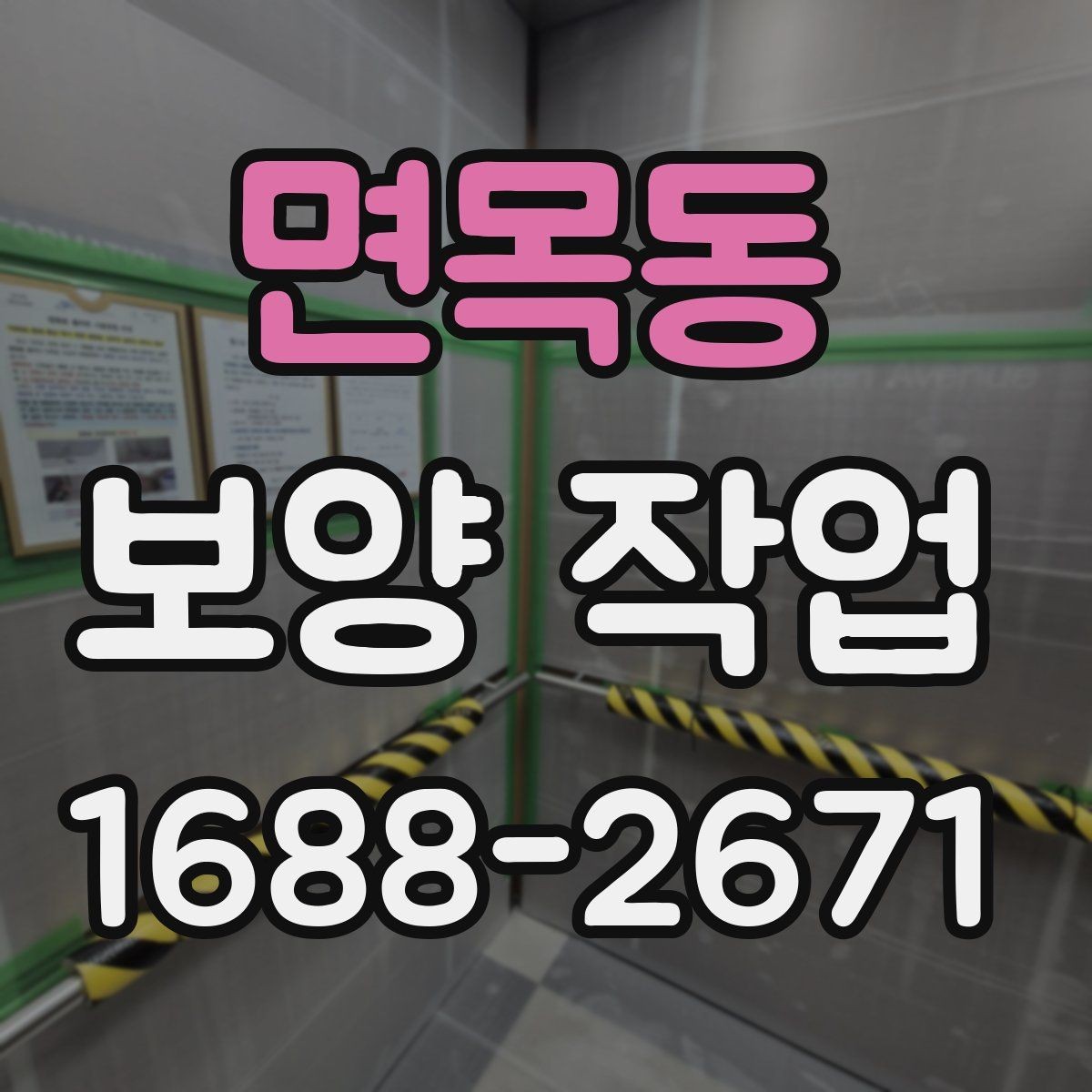 면목동 보양 작업 시 확인할 사항과 관리 방법