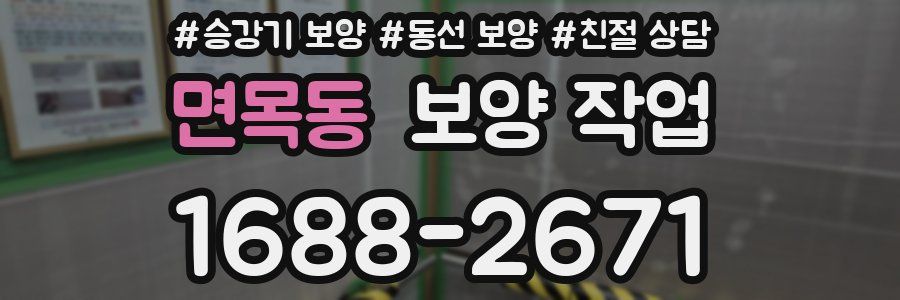 면목동 보양 작업
