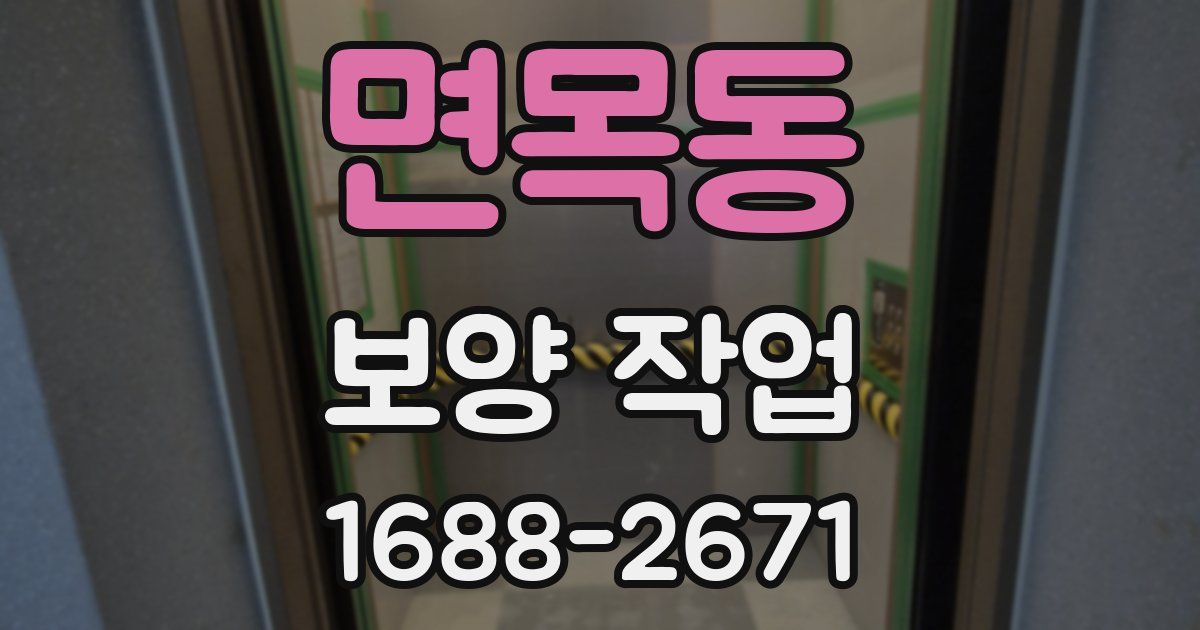 면목동 보양 작업