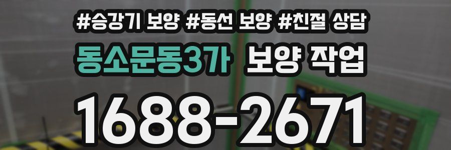 동소문동3가 보양 작업
