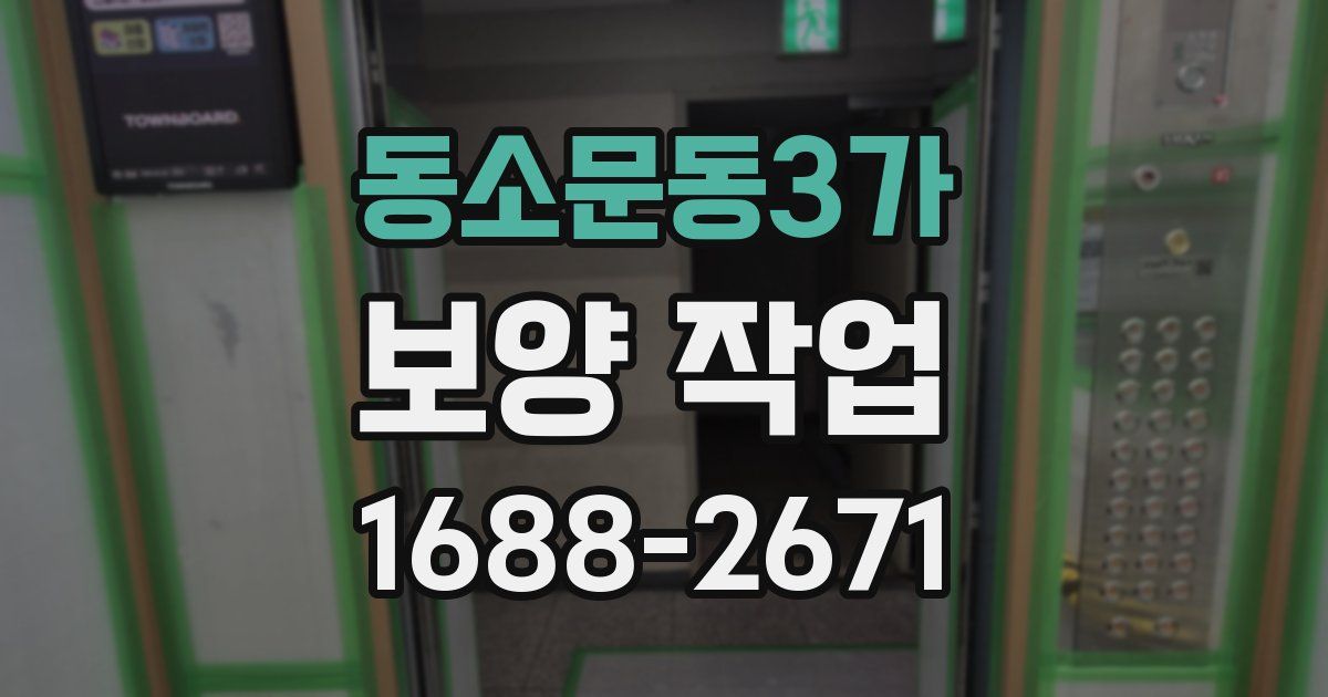 동소문동3가 보양 작업