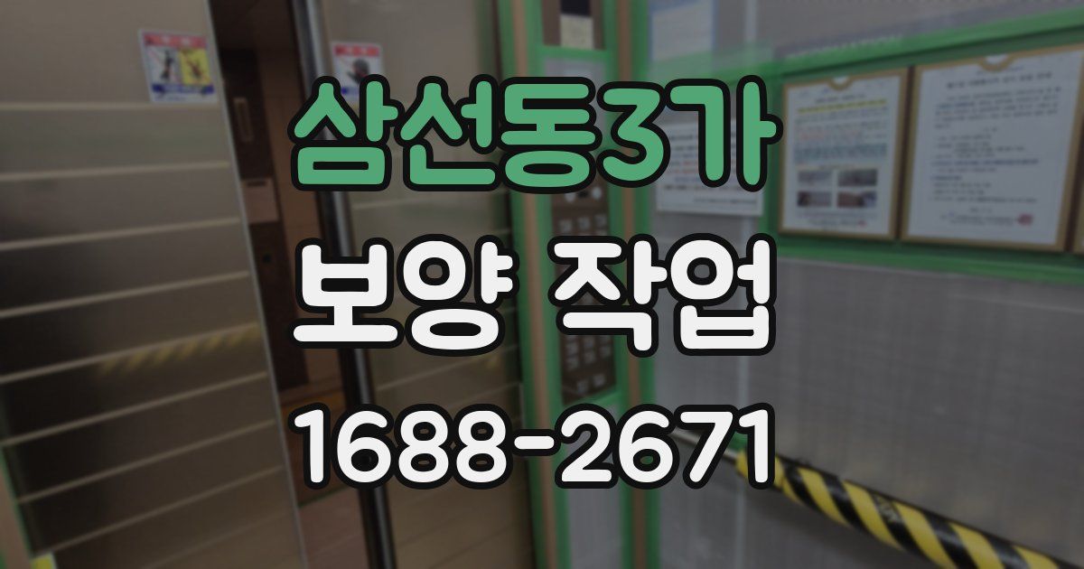 삼선동3가 보양 작업