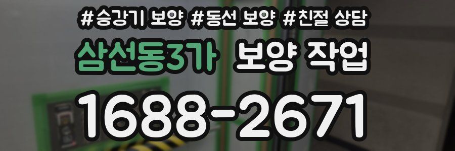 삼선동3가 보양 작업