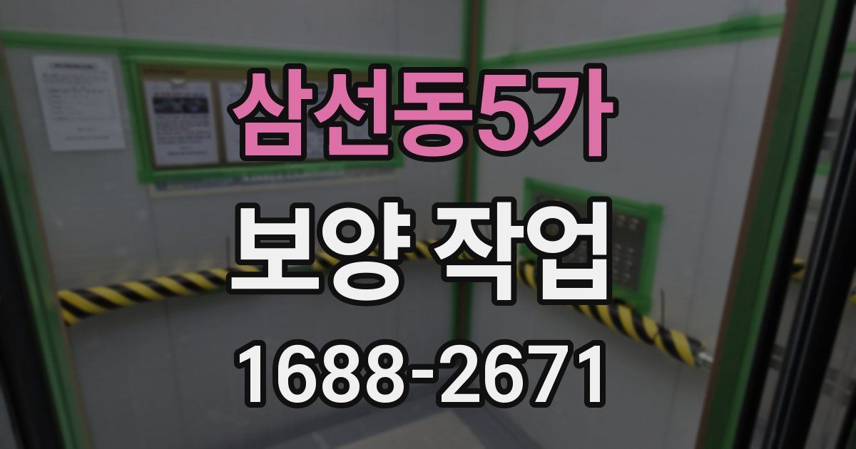 삼선동5가 보양 작업