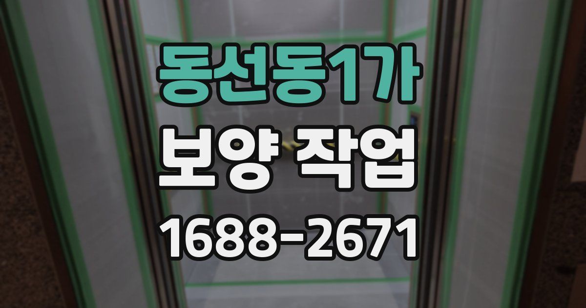 동선동1가 보양 작업