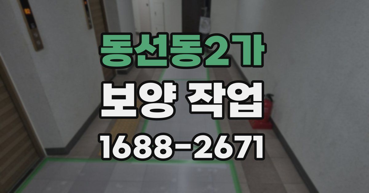 동선동2가 보양 작업