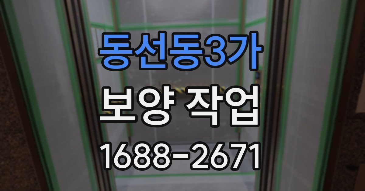 동선동3가 보양 작업