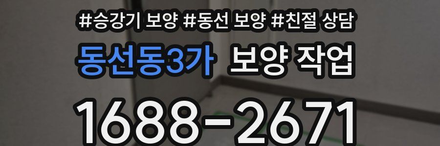 동선동3가 보양 작업
