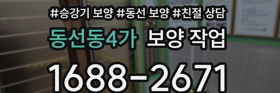 동선동4가 보양 작업