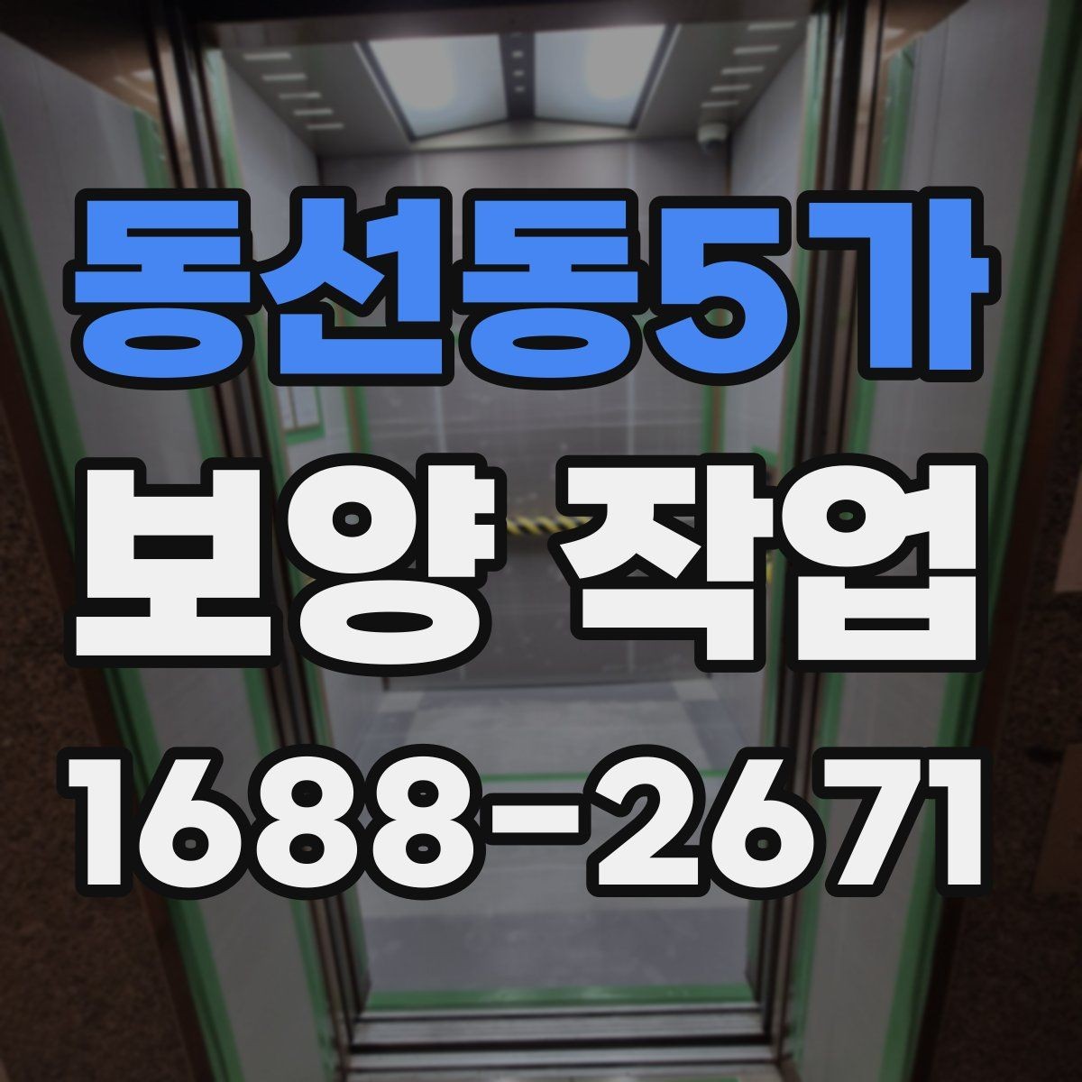 동선동5가 보양 작업 시공 사례로 보는 준비 과정