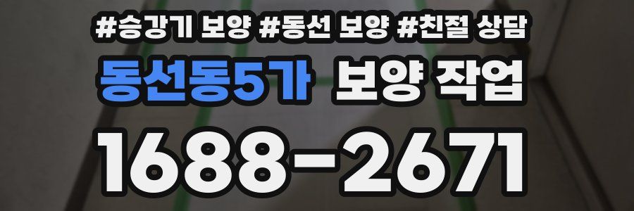 동선동5가 보양 작업