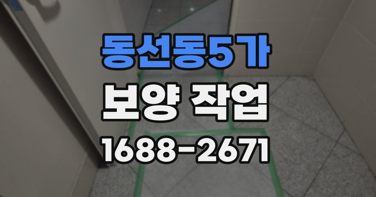 동선동5가 보양 작업