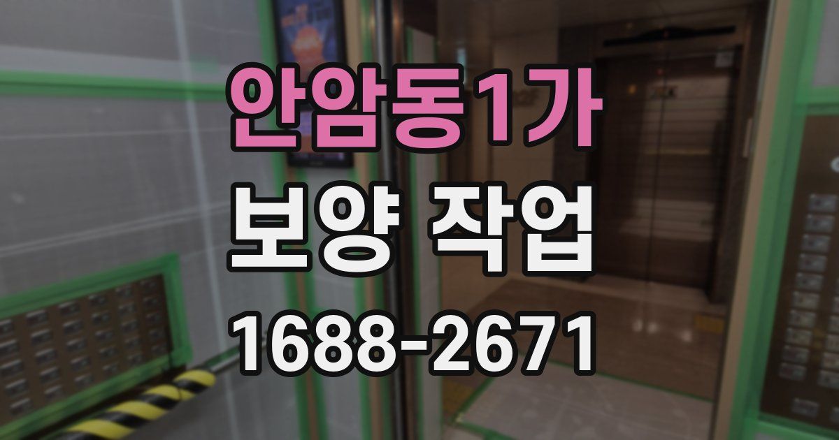 안암동1가 보양 작업