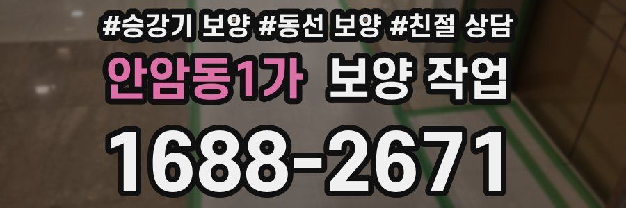 안암동1가 보양 작업