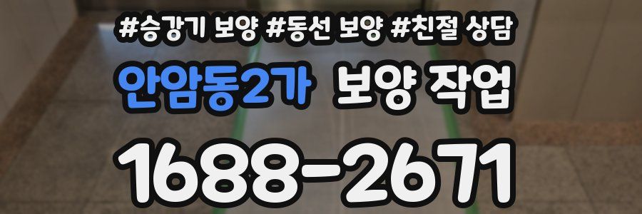 안암동2가 보양 작업