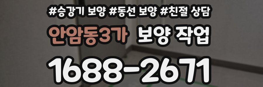 안암동3가 보양 작업