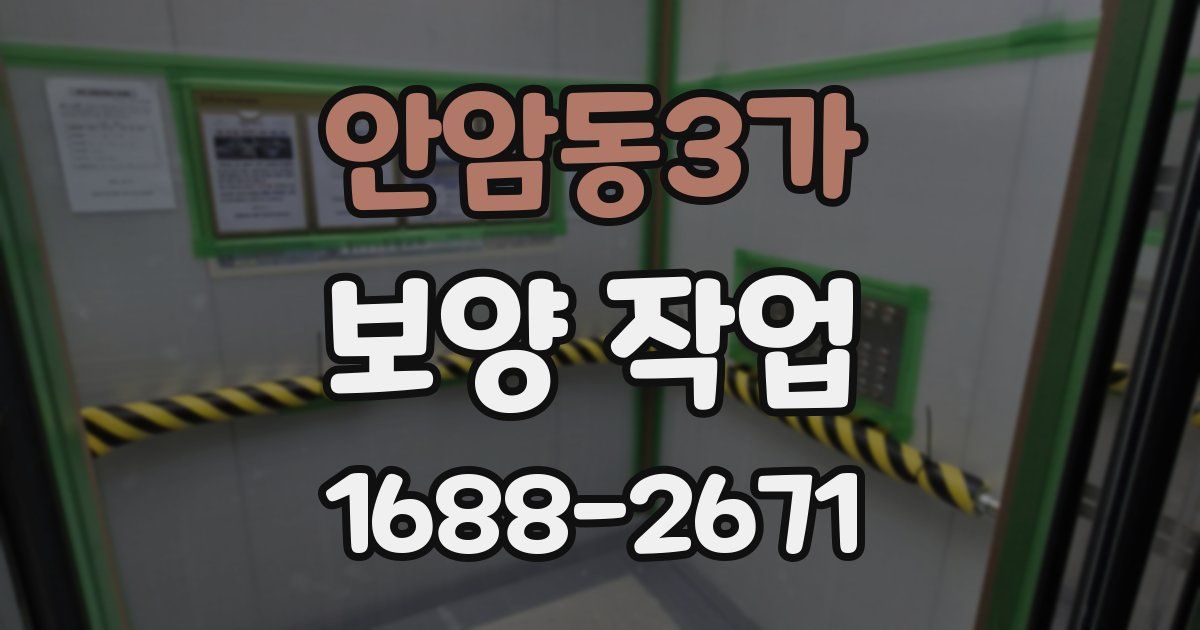 안암동3가 보양 작업