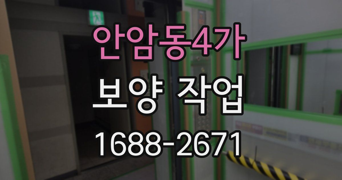 안암동4가 보양 작업