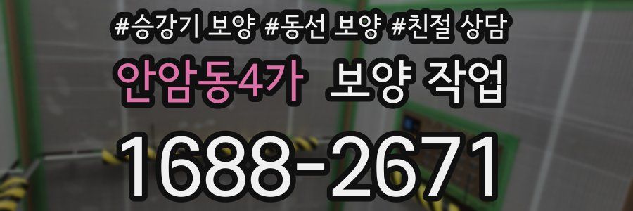 안암동4가 보양 작업