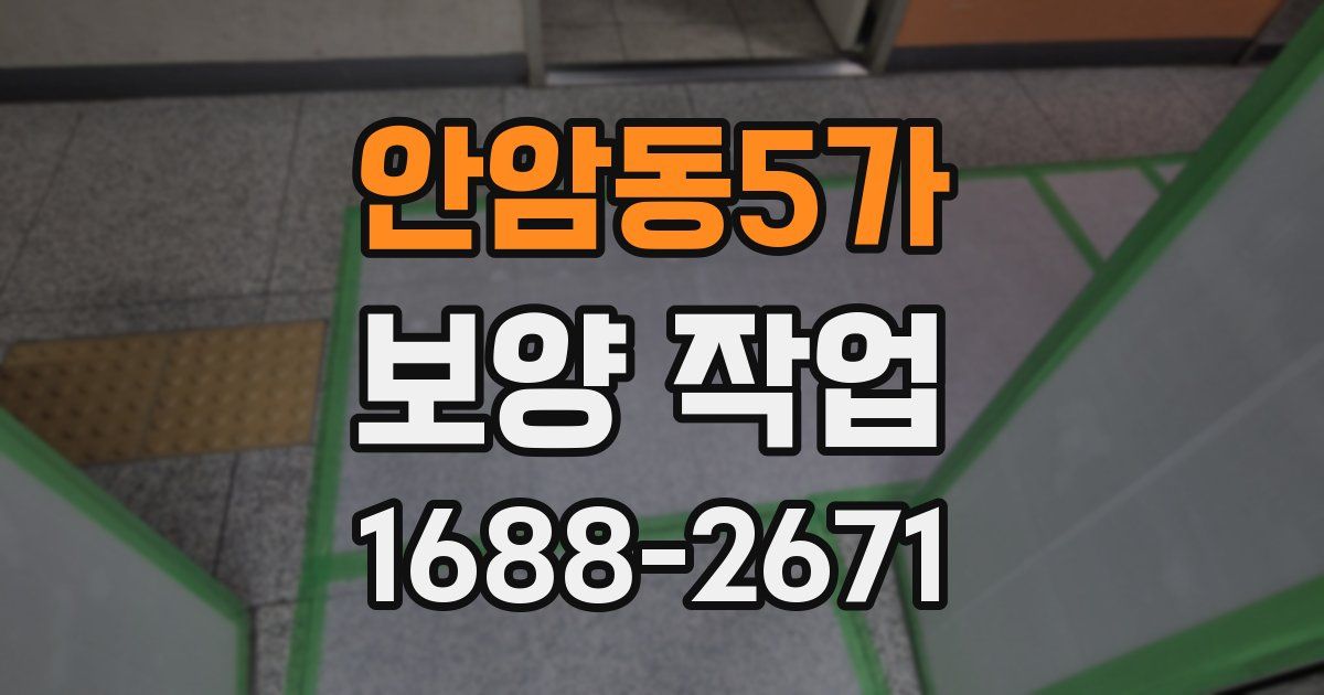 안암동5가 보양 작업
