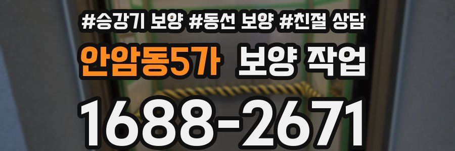 안암동5가 보양 작업