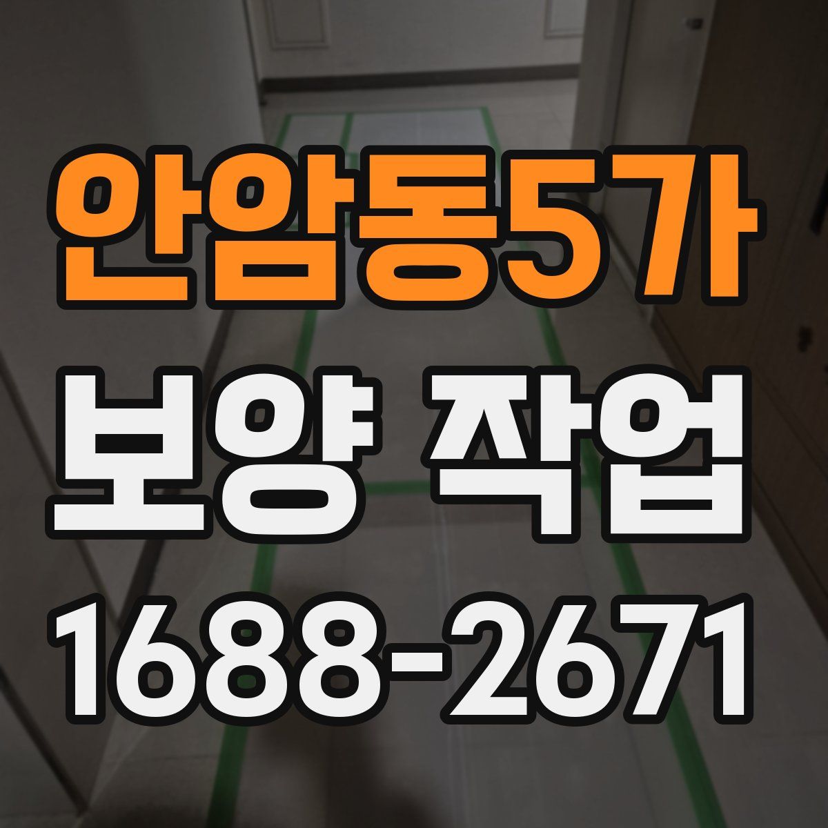 안암동5가 보양 작업