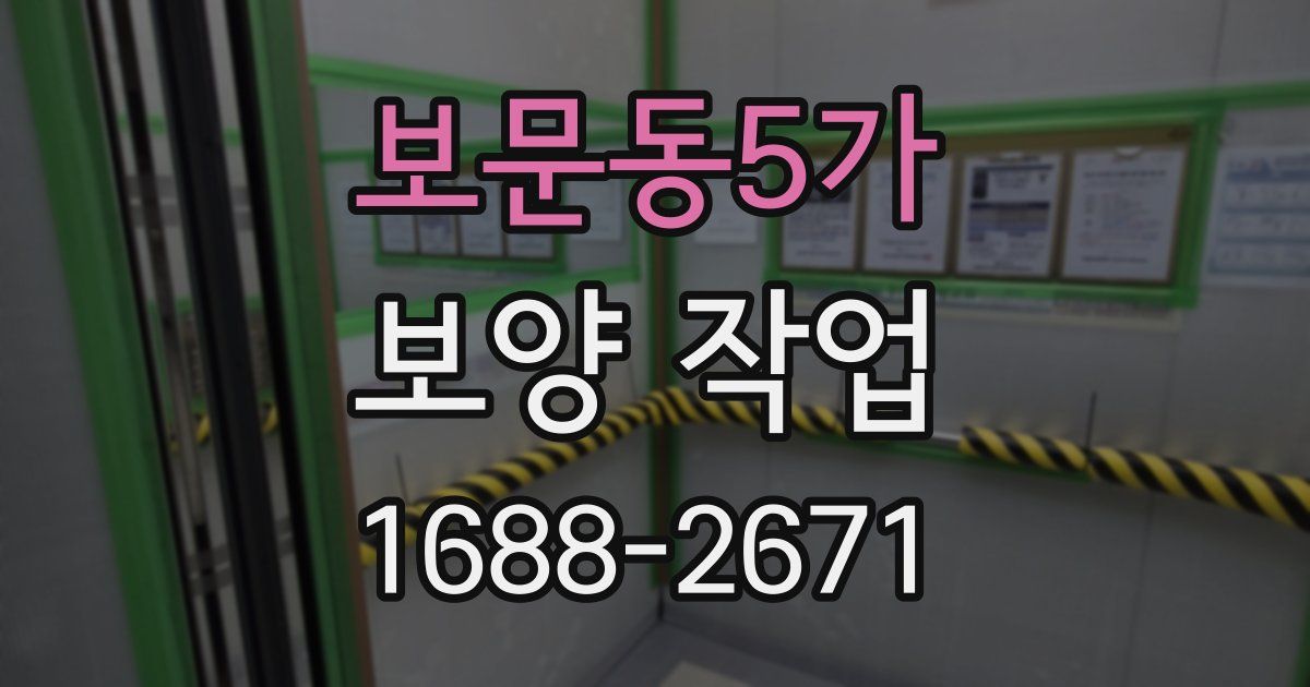 보문동5가 보양 작업
