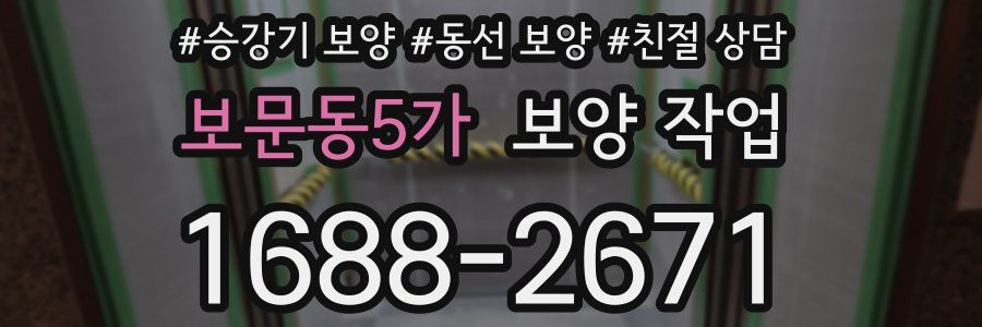 보문동5가 보양 작업