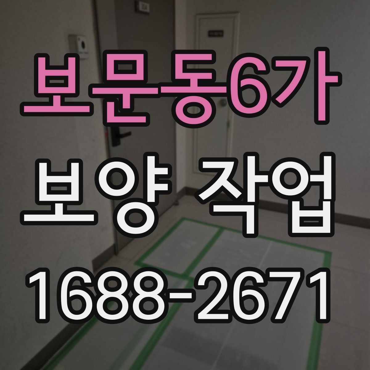 보문동6가 보양 작업 시 주의 포인트과 관리 방법