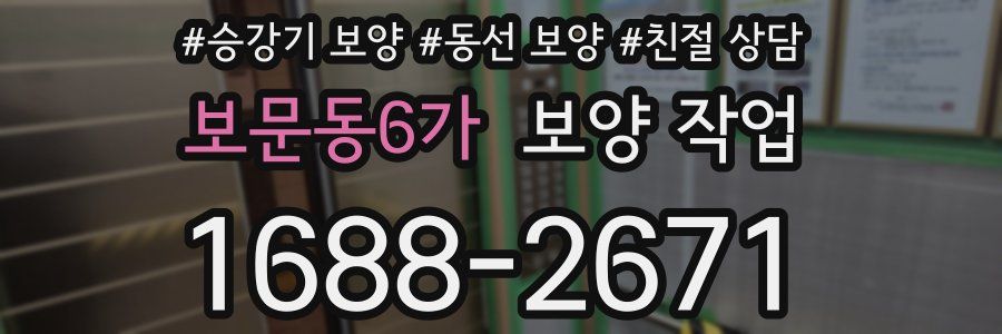 보문동6가 보양 작업
