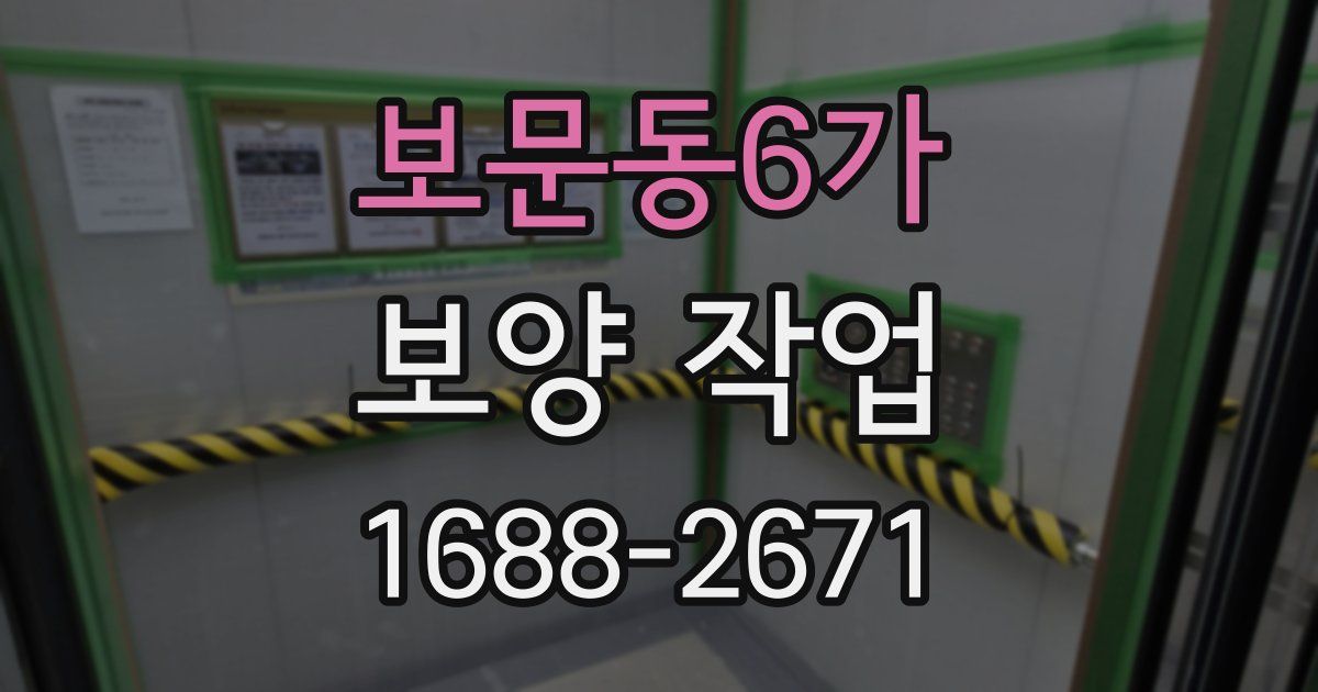 보문동6가 보양 작업
