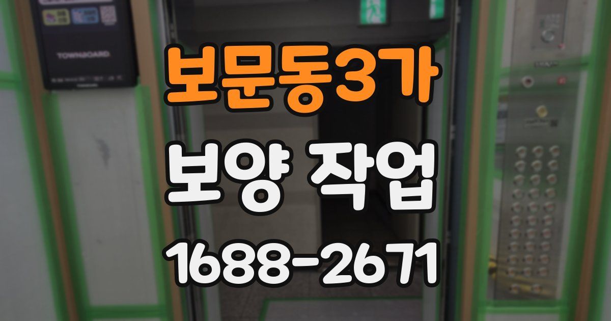 보문동3가 보양 작업