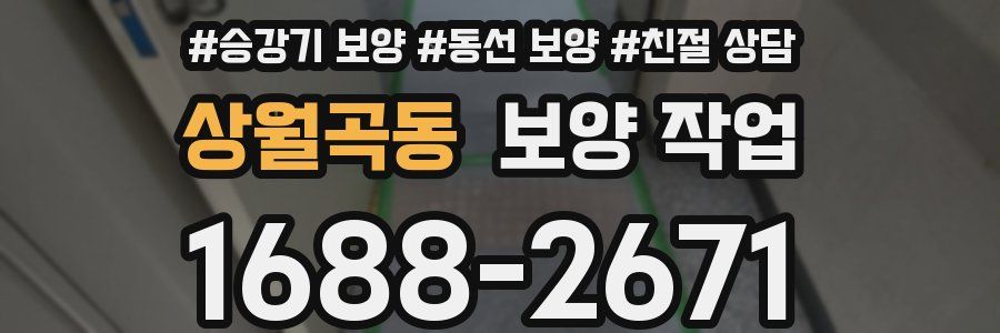 상월곡동 보양 작업