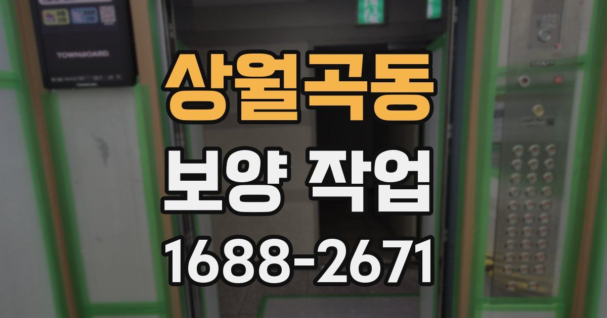 상월곡동 보양 작업