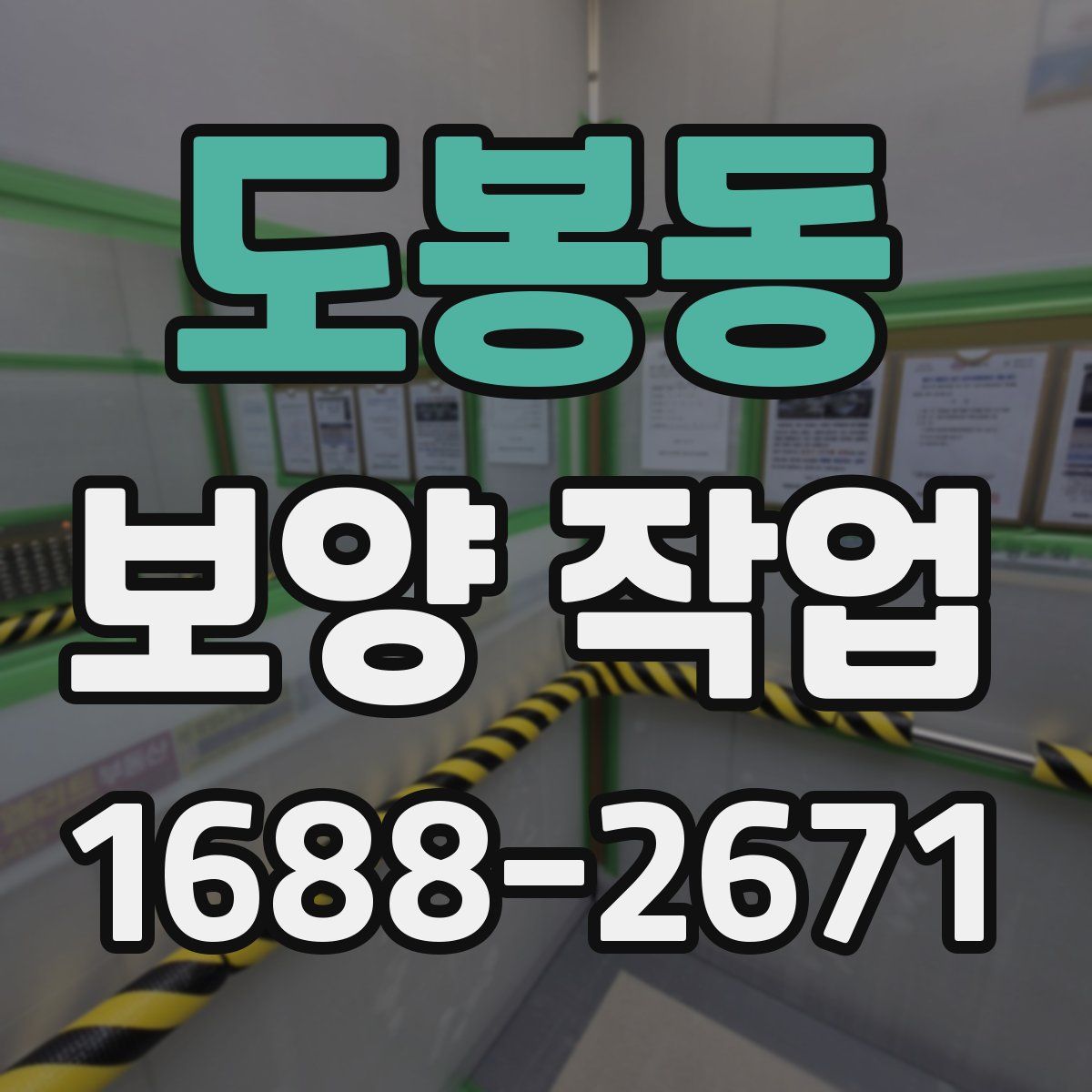 도봉동 보양 작업
