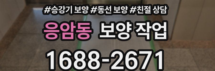 응암동 보양 작업