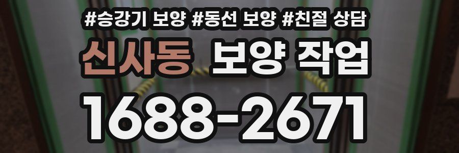 신사동 보양 작업